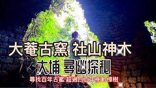 [香港行山好去處]大菴古窯 社山神木 一個超個150年歷史既古窯 |一棵超過400年樹齡既大樟樹 | 一座大埔小山峰社山|一程巴士+6公里公里睇哂|大埔行山路線|Tai Po Ancient Kiln