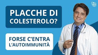 Placche di colesterolo? Forse c'entra l'autoimmunità