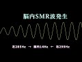 【ゾーン体感】超集中状態の脳波でパフォーマンスが劇的に変化　左285hz 右299hzで脳内に14hzのsmr波 発生！