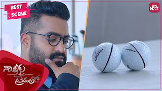 Ball game that decides NTR's Love | Telugu | Nannaku Prematho | N.T.R Jr. | Rakul Preet Singh|SUNNXT