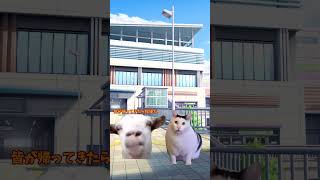 Mirai学園宿泊編「先生に怒られる覚悟はできてる！」前回の動画は↑から！#ゆっくり  #猫ミーム