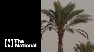Sandstorm lashes parts of southern Libya