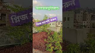 তখন আপনি আপনার পালনকর্তার পবিত্রতা বর্ণনা করুন এবং তাঁর কাছে ক্ষমা প্রার্থনা করুন।