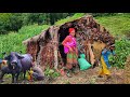 Beautiful Himalayan Shepherd People living lifestyle| Shepherd's food Cooking| Ancient village Nepal