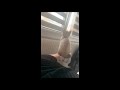 Cat Getting Comfy and Balancing Herself on Owner Foot by the Window