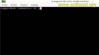 How to view java version in Bash