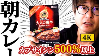 【レトルトカレー】朝カレーにジャワカレー史上最も辛い！大人の激辛を食す【激辛カレー】