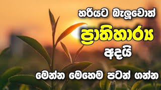 හරියට බැලුවොත් ප්‍රාතිහාර්‍ය අදයි .විශ්වාස කරන්න මෙන්න මෙහෙම පටන් ගන්න 👊