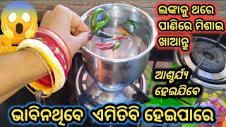 କଞ୍ଚା  ଲଙ୍କାକୁ ଥରେ  ପାଣିରେ ପକାନ୍ତୁ /ଭାବିନଥିବେ  ଏମିତି ବି ହେଇପାରେ/kitchen tips@mbj vlogger