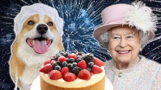 Talking Corgi Bakes a Cheesecake for the Queen!