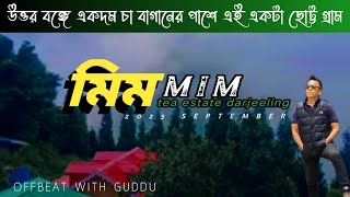 Mim Tea Estate Darjeeling ||  Mim Tea Garden || Mim Tea Estate Homestay || Offbeat Darjeeling