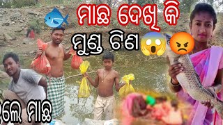 ମାଛ ଦେଖି ମୁଣ୍ଡ ଟିଣ 😡 ମାଛ 🐟 ସବୁ ଚୋର ହୋଇ ଗଲେ😭😭