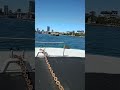 Sydney Ferry Passing By #shorts #sydney #ferry