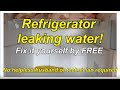 Refrigerator is leaking water / how to fix or repair when it makes and drops water inside problem.