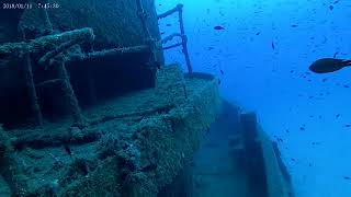 Diving around Malta - Amazing amount of fish