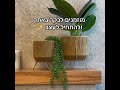 1item אתר עיצוב הבית המוביל בארץ שהכל בו עד 99 ש