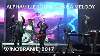 ALPHAVILLE- SOUNDS LIKE A MELODY-Zielona Góra (WINOBRANIE 2017)POLAND