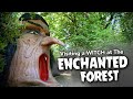 Visiting a WITCH at The Enchanted Forest - Turner, Oregon   4K