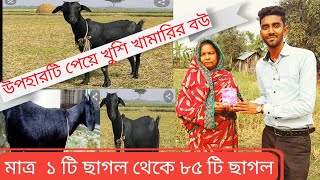 মাত্র ১ টি ছাগল থেকে ৮৫ টি ছাগল। সাফল্যের মুখ দেখেছেন খামারি,,