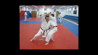 Aikido basics - Randori No Kata - Beginners guide to the 17 techniques