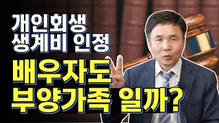 개인회생 생계비를 인정받을 수 있는 부양가족은 어디까지? (제2탄) 1-11