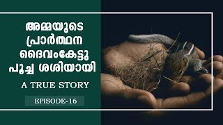 അമ്മയുടെ പ്രാർത്ഥന ദൈവം കേട്ടു പൂച്ച ശശിയായി | Baby Squirrel Vs Mom Squirrel | Squirrel Loves Man