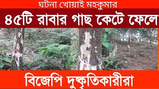 খোয়াই এ 45টি রাবার গাছ কেটে ফেলে দুষ্কৃতীরা | Tripura news live | Agartala news