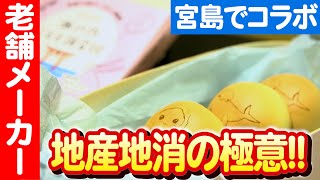 【絶滅危惧種を伝える！】子どもたちの絵が和菓子に！宮島の海を感じる饅頭 日本財団 海と日本PROJECT in 広島 2023 #021