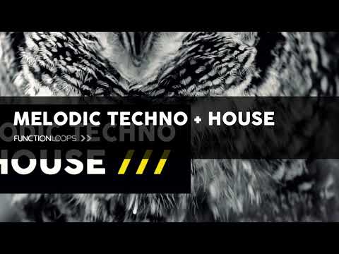 Melodic Techno Samples Melodic Techno House Sample Pack
