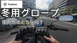 【GOLDWIN】30代無職が冬用バイクグローブレビュー【XSR155】