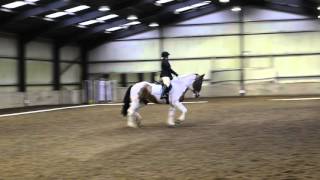 Murphy - Intro A - Dressage Test