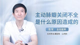 主动脉瓣关闭不全是什么原因造成的