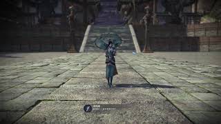 天涯明月刀 移花 单人血衣楼 (Moonlight Blade Shfiting Flower Palace solo instance)