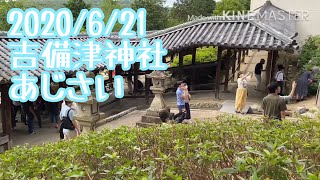 2020年6月21日吉備津神社あじさい