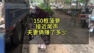 150框菠萝接近尾声了 夫妻俩赚了多少钱#记录真实生活 #摆摊