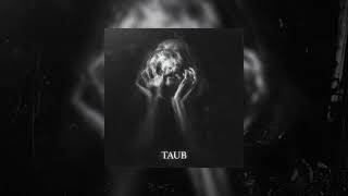 stepgod - taub (prod. Tsurreal)