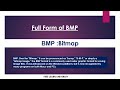 full form of bmp bmp ka full form kya hai bmp full form