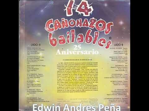 14 Cañonazos Bailables Volumen 25 Aniversario LP Completo Discos ...