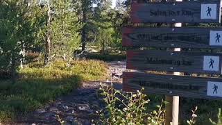 Norwegian Nature - Soelen Mountains in Rendalen