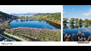 가수 김정혜 / 님의 향기 / 김경남 원곡 /제57회 경북도민체전 성공기원 축하공연 /경산연예협회(지회장 김명희)