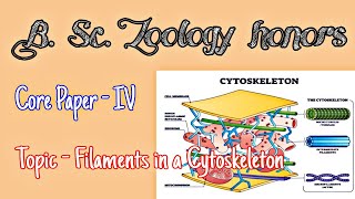 Filaments in a Cytosketelon