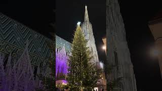 Magic of Vienna 🎄♥️🌟 #christmas #weihnachten #christmasmarket #vienna #austria #merrychristmas