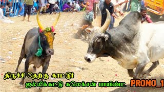 திருச்சி தெற்கு காட்டூர் 💥ஜல்லிக்கட்டு கலெக்சன் பாயிண்ட்😈😈💥 Part_1 || Jallikattu Videos||Jallikattu