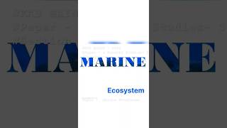 MARINE ECOSYSTEM - Challenges faced in Marine Ecosystem Conservation #marine species #facts