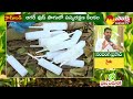 agarwood cultivation అగర్ వుడ్ పంటతో లక్షల్లో సంపాదించొచ్చు success story @sakshitvsagubadi