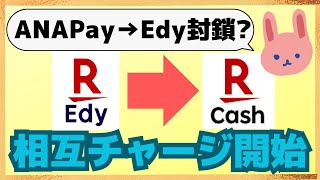 【開始】楽天Edy→楽天キャッシュにチャージOK！ANAPayからのチャージは早速封鎖？？お得な高還元ルートについてわかりやすく解説します。