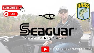 Seaguar Minnow Rig Setup