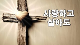 [ccm가수 정다영#4] 사랑하고 살아도 정다영의 심금을 울리는 찬양