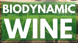 What is BIODYNAMIC WINE - Understanding the Biodynamic Vineyard and Winemaking practices