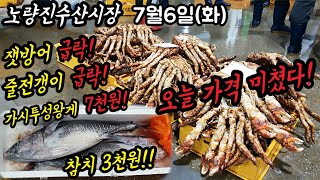 노량진수산시장 잿방어 줄전갱이 급락! 참치 3천원! 하나사키 킹크랩 대게 랍스터 시세참고